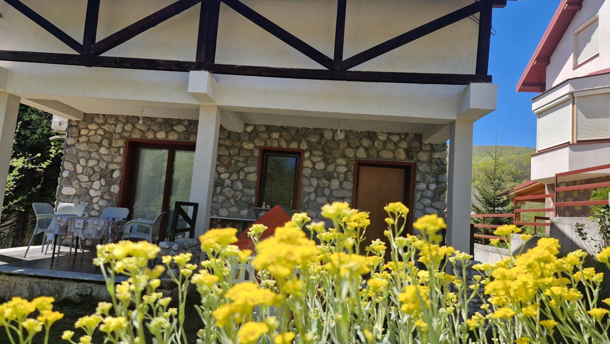 Chalet Mila Маврово Екстер'єр фото