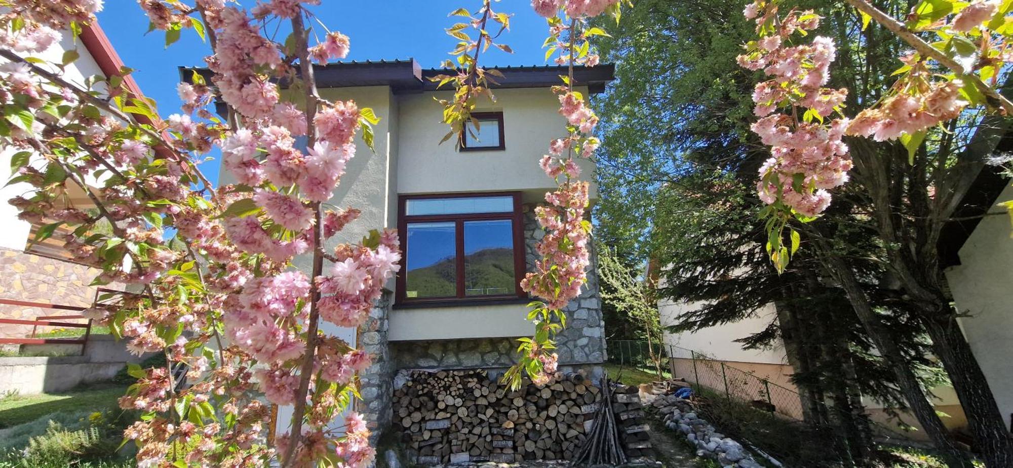Chalet Mila Маврово Екстер'єр фото