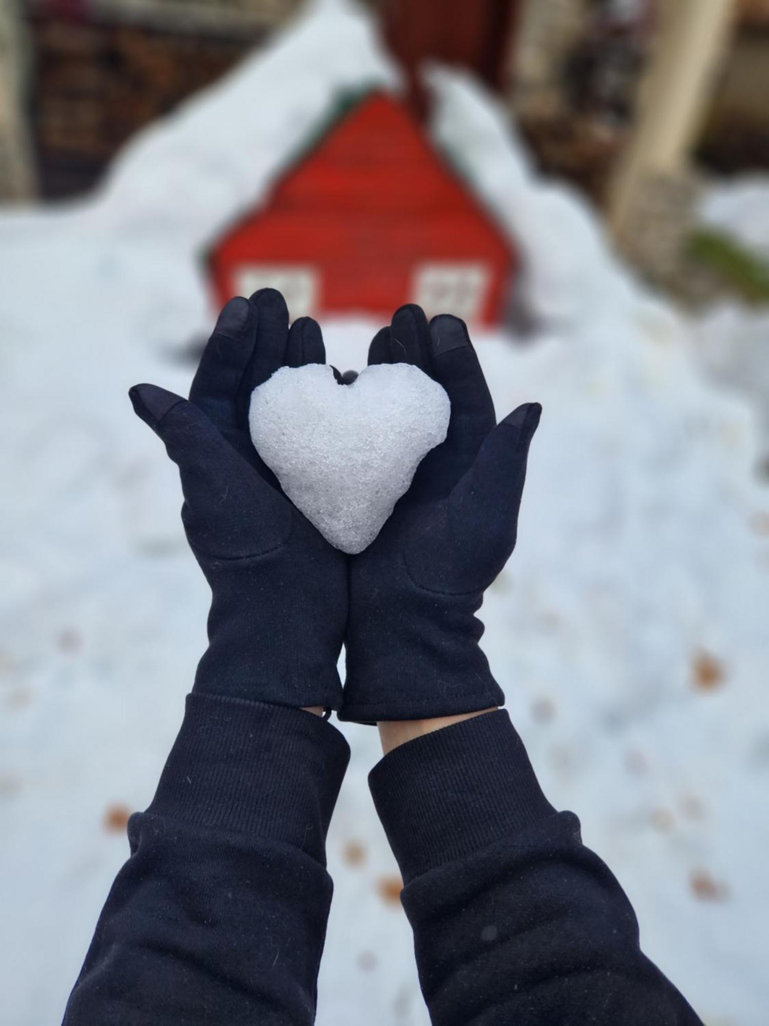 Chalet Mila Маврово Екстер'єр фото